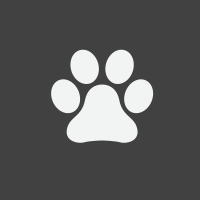 Veterinaria e implementos agrícolas